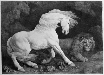 Koń przestraszony przez lwa, rytowany przez artystę, 1788 autorstwa George Stubbs