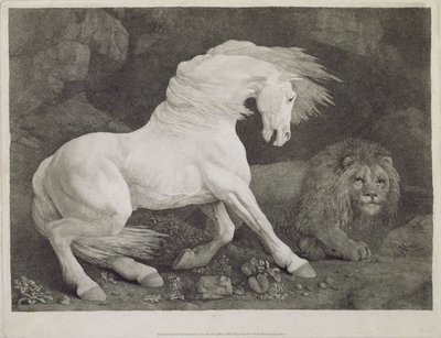 Grawerowany przez artystę koń przestraszony przez lwa, wyd. 1788 autorstwa George Stubbs