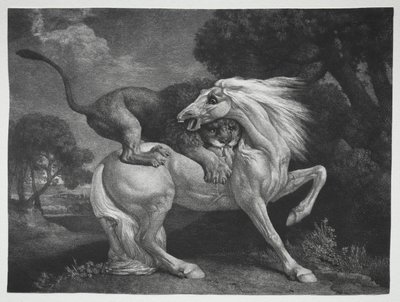 Koń zaatakowany przez lwa, 1788. autorstwa George Stubbs