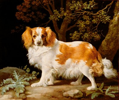 King Charles Spaniel w wątrobie i biały w leśnym krajobrazie autorstwa George Stubbs