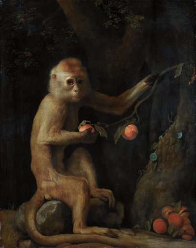 Małpa autorstwa George Stubbs