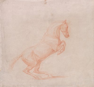 Rozbrykany koń, skierowany w prawo autorstwa George Stubbs
