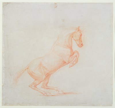 Rozbrykany koń, zwrócony w prawo, 1790 (czerwona kreda na papierze) autorstwa George Stubbs