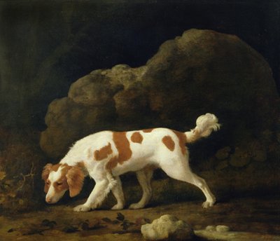 Spaniel (olej na płótnie) (dla par patrz 266116) autorstwa George Stubbs