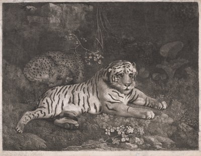 Tygrys i śpiący lampart autorstwa George Stubbs