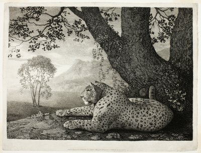 Tygrys (Leopard Leopard przy drzewie) autorstwa George Stubbs