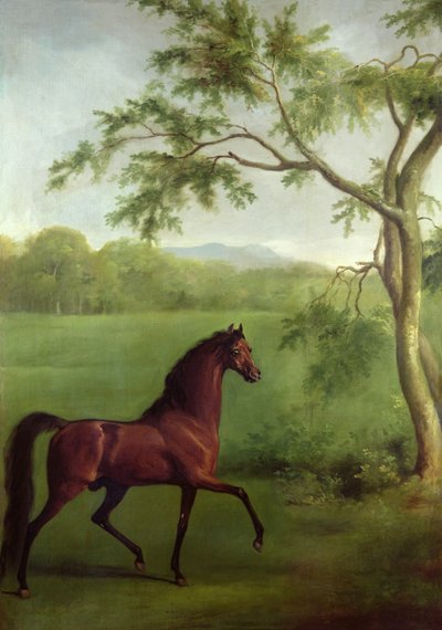 Ogier arabski pod drzewem, ok. 1761-63 (olej na płótnie) autorstwa George Stubbs