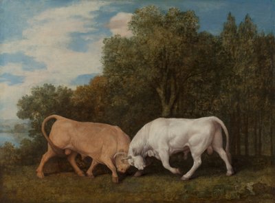 Walka byków autorstwa George Stubbs