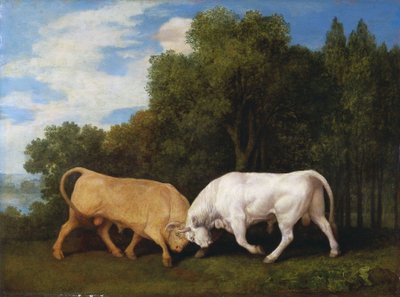 Walka byków autorstwa George Stubbs