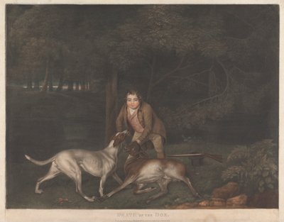 Śmierć Doe autorstwa George Stubbs