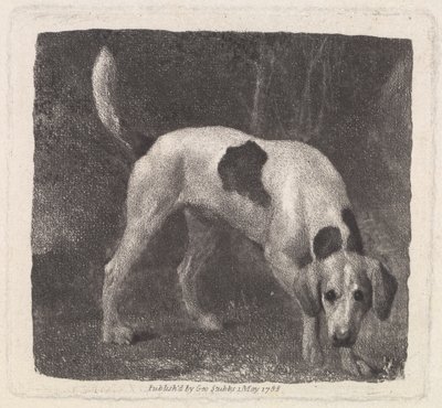 Grawerowany przez artystę Pies (Pachnący Foxhound), wyd. 1788 autorstwa George Stubbs
