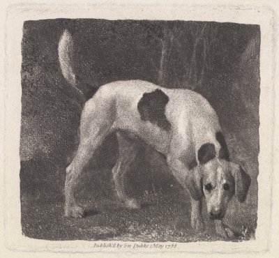 Pies [Lis ogar na zapach] autorstwa George Stubbs