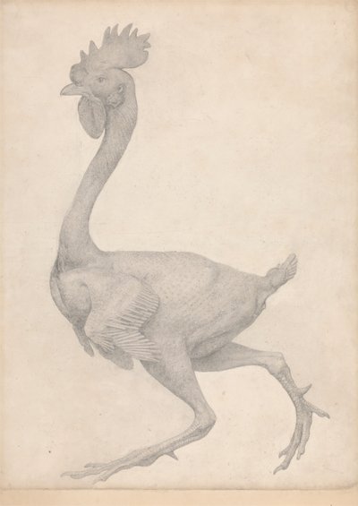 Ptactwo, widok z boku z usuniętą większością piór (ukończone studium dla tabeli X) autorstwa George Stubbs