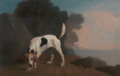 Foxhound autorstwa George Stubbs