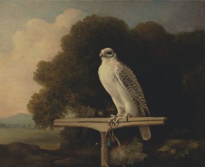 Sokół Grenlandzki autorstwa George Stubbs