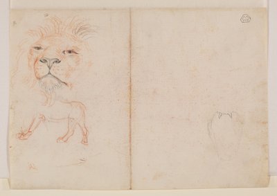 Głowa lwa, rewers, XVIII lub XIX w. autorstwa George Stubbs