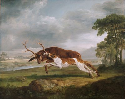 Pies biegający na jelenia autorstwa George Stubbs