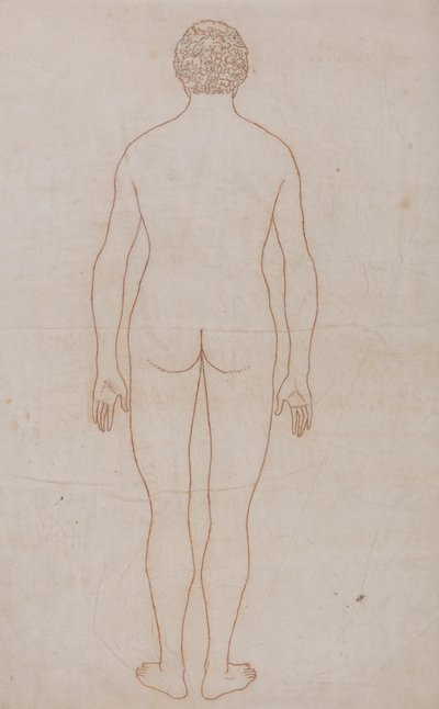 Ciało ludzkie, widok z tyłu (rysunek konspektu do tabeli VII) autorstwa George Stubbs
