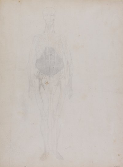 Postać ludzka, widok z przodu (głównie w zarysie) autorstwa George Stubbs