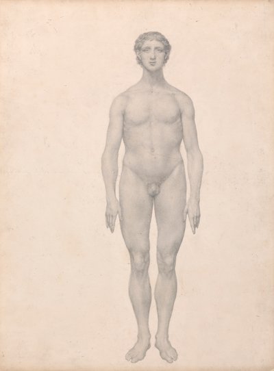 Postać ludzka, widok z przodu, niepreparowana (badanie zakończone dla tabeli VI) autorstwa George Stubbs