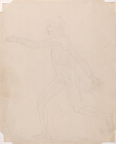 polish autorstwa George Stubbs