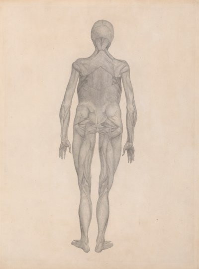 Postać ludzka, widok z tyłu (ukończone studium dla niepublikowanej płyty) autorstwa George Stubbs