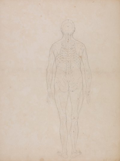 Postać ludzka, widok z tyłu autorstwa George Stubbs