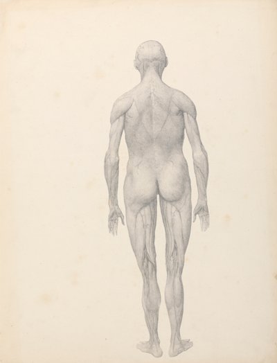 polish autorstwa George Stubbs