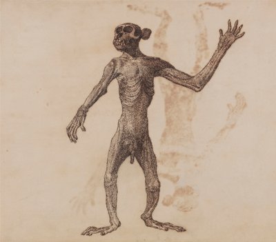 Stojąca Małpa, Widok Z Przodu autorstwa George Stubbs
