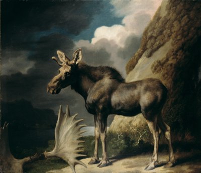 Łoś, 1770 autorstwa George Stubbs