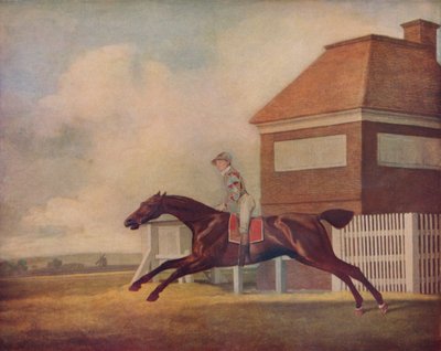 Pan Ogilvys Bay Racehorse Trentham w Newmarket z Jockey up, 1771 autorstwa George Stubbs