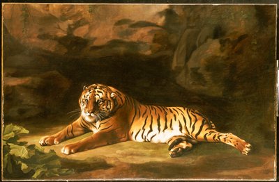 Portret Tygrysa Królewskiego, ok. 1770 autorstwa George Stubbs