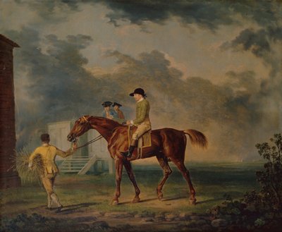 Sir Salomon, Bay Racehorse z J.Singletonem, Newmarket (olej na płótnie) autorstwa George Stubbs