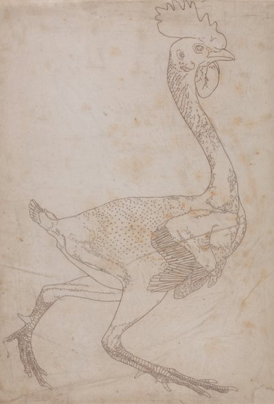 Studium ptactwa domowego, widok z boku, z wystawy Anatomia porównawcza budowy ciała ludzkiego z budową ciała tygrysa i ptactwa domowego, 1795-1806 (grafit i czerwona kreda na papierze) autorstwa George Stubbs