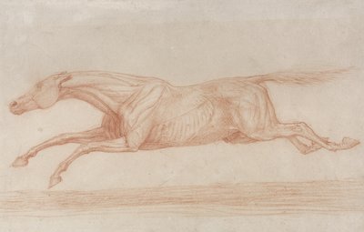 Studium konia wyścigowego w akcji: galop w lewo (czerwona kreda na papierze bufiastym) autorstwa George Stubbs
