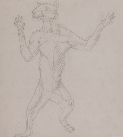 Studium tygrysa stojącego w ludzkiej postawie z Porównawczej ekspozycji anatomicznej budowy ciała ludzkiego z ciałem tygrysa i drobiu zwyczajnego, 1795-1806 (grafit na cienkim papierze tkanym) autorstwa George Stubbs