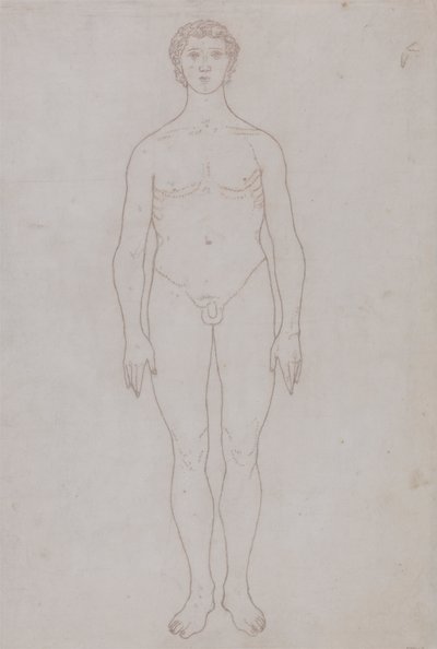 Studium postaci ludzkiej, widok z przodu (szkic do tabeli VI) autorstwa George Stubbs