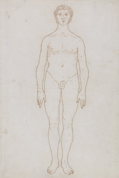 Studium postaci ludzkiej, widok z przodu, z „Porównawczej anatomicznej ekspozycji struktury ciała ludzkiego z ciałem tygrysa i drobiu zwyczajnego”, c.1795-1806 (czerwona kreda na papierze) autorstwa George Stubbs