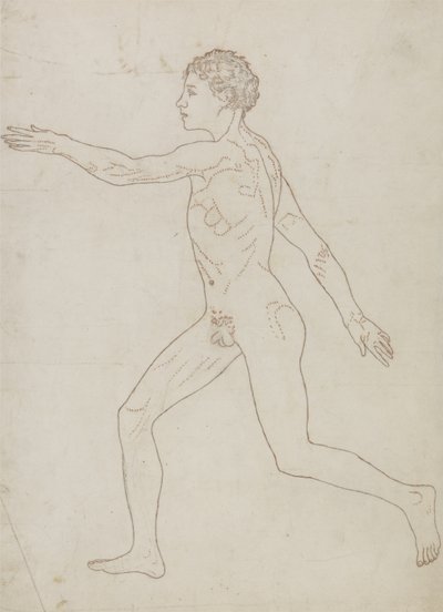 Studium postaci ludzkiej, widok boczny, z „Porównawczej ekspozycji anatomicznej budowy ciała ludzkiego z ciałem tygrysa i drobiu zwyczajnego”, c.1795-1806 (grafit na papierze) autorstwa George Stubbs