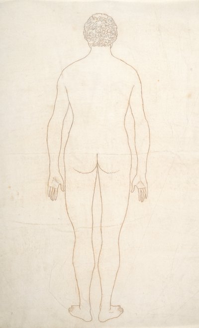 Studium postaci ludzkiej, widok z tyłu, z porównawczej ekspozycji anatomicznej budowy ciała ludzkiego z ciałem tygrysa i drobiu zwyczajnego, c.1795-1806 (atrament na papierze) autorstwa George Stubbs
