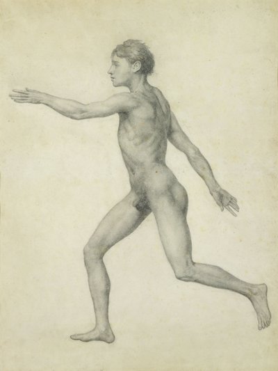 Cała postać ludzka od lewej, widok z boku, z serii „Porównawcze przedstawienie anatomiczne budowy ciała ludzkiego z ciałem tygrysa i drobiu pospolitego autorstwa George Stubbs