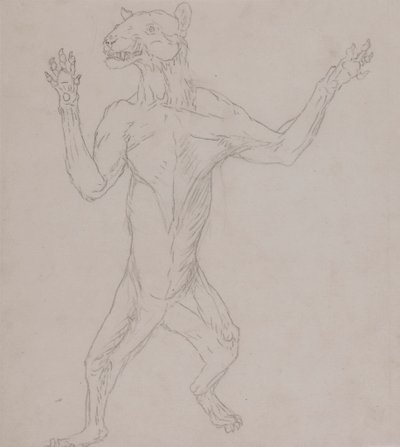 Ciało tygrysa, stojące w ludzkiej postawie autorstwa George Stubbs