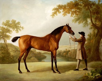 Tristram Shandy, koń wyścigowy Bay trzymany przez pana młodego w rozległym krajobrazie, c.1760 autorstwa George Stubbs