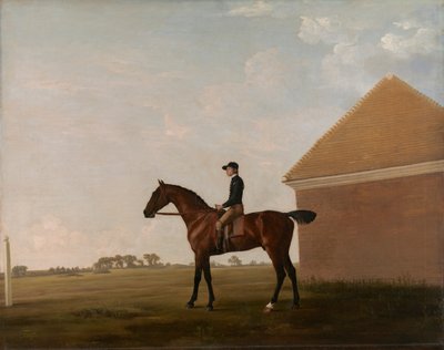 Turf, z dżokejem, w Newmarket autorstwa George Stubbs