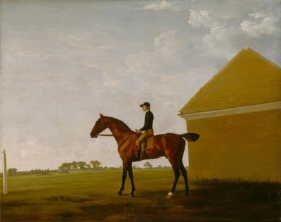 Turf, z dżokejem w górze, w Newmarket autorstwa George Stubbs