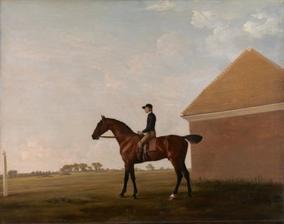 Turf, z Jockey na górze, w Newmarket, ca. 1766. autorstwa George Stubbs
