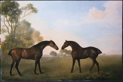Dwóch Łowców w Grass autorstwa George Stubbs