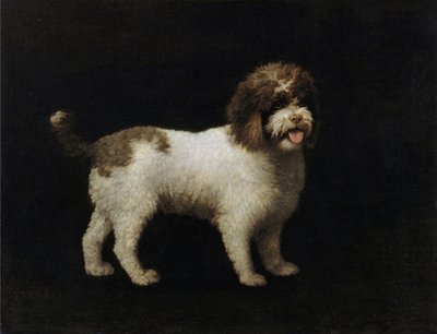 Spaniel wodny autorstwa George Stubbs