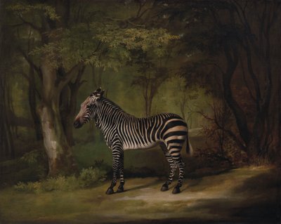 Zebra autorstwa George Stubbs