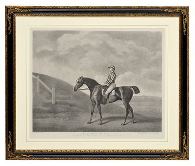 Dynia (Grawer kropkowany) autorstwa George Townley Stubbs